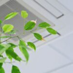 custom home indoor air quality